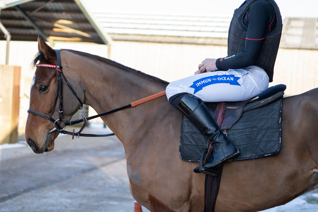Managing gastric ulcers in racehorses
