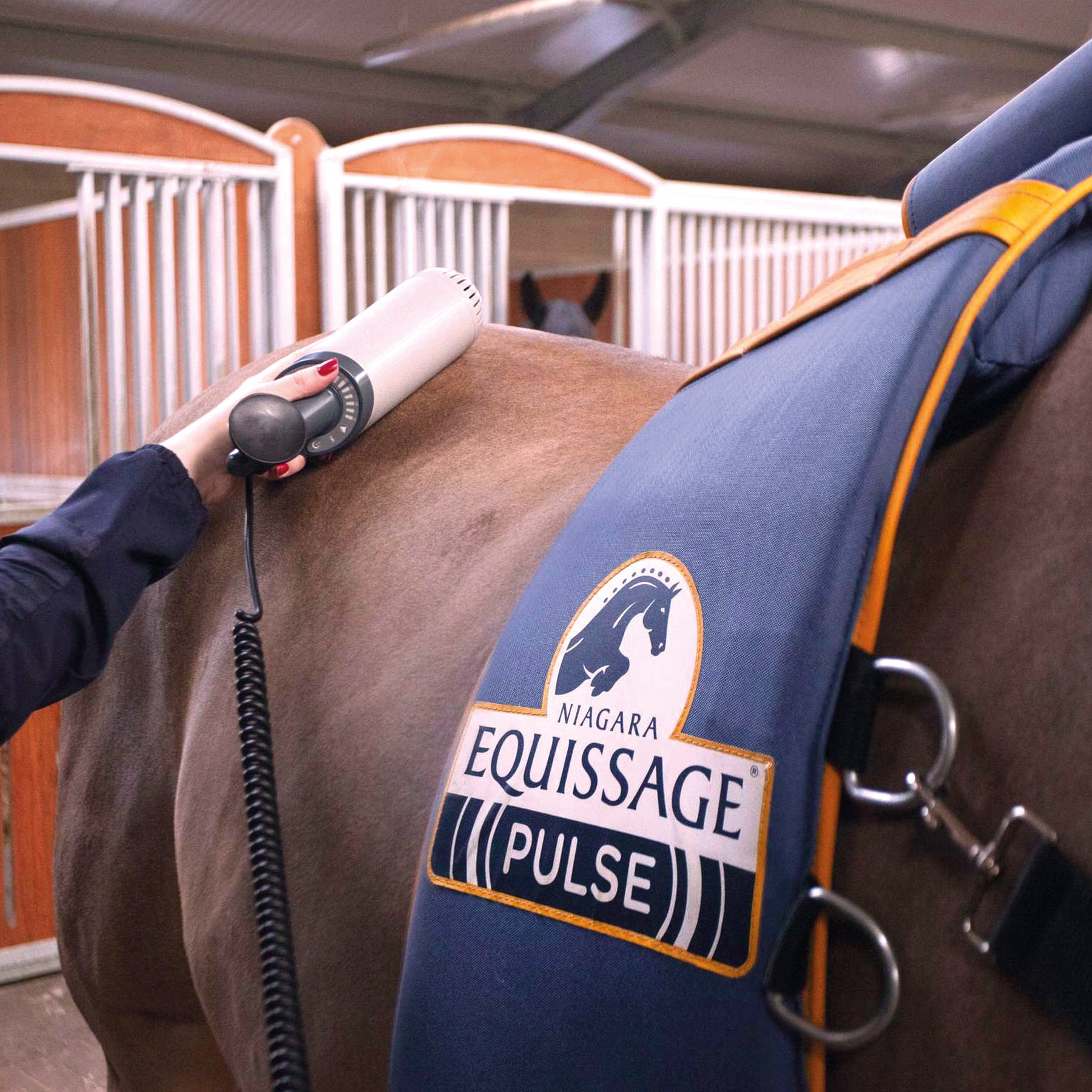 Equissage Pulse Hand Unit – KSB Equine